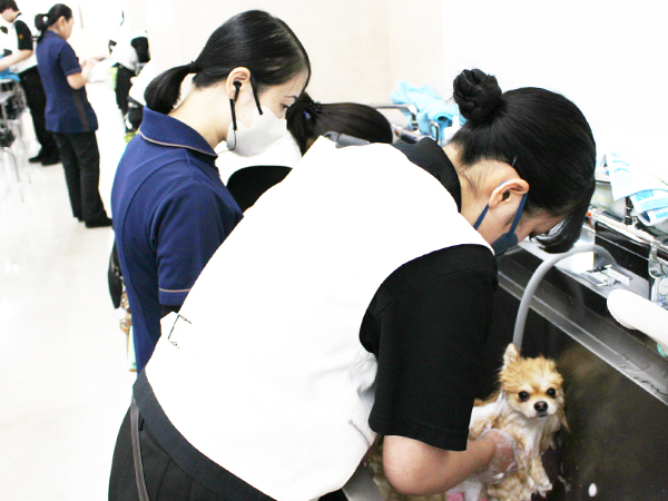 シャンプーの技術を確認♪